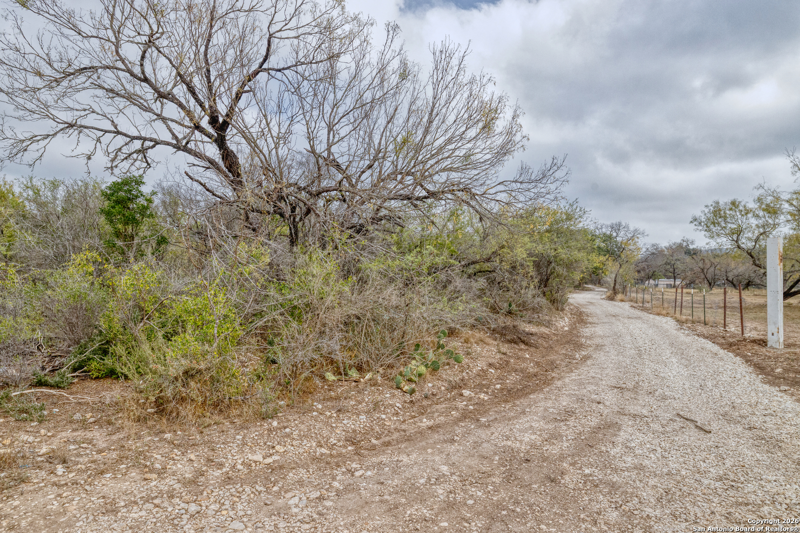 Land in Uvalde 5