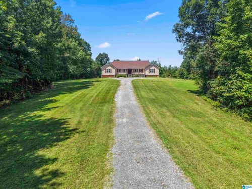 295 Osborn Lake Rd, BLOUNTSVILLE, AL, 35031-3463 | Card Image