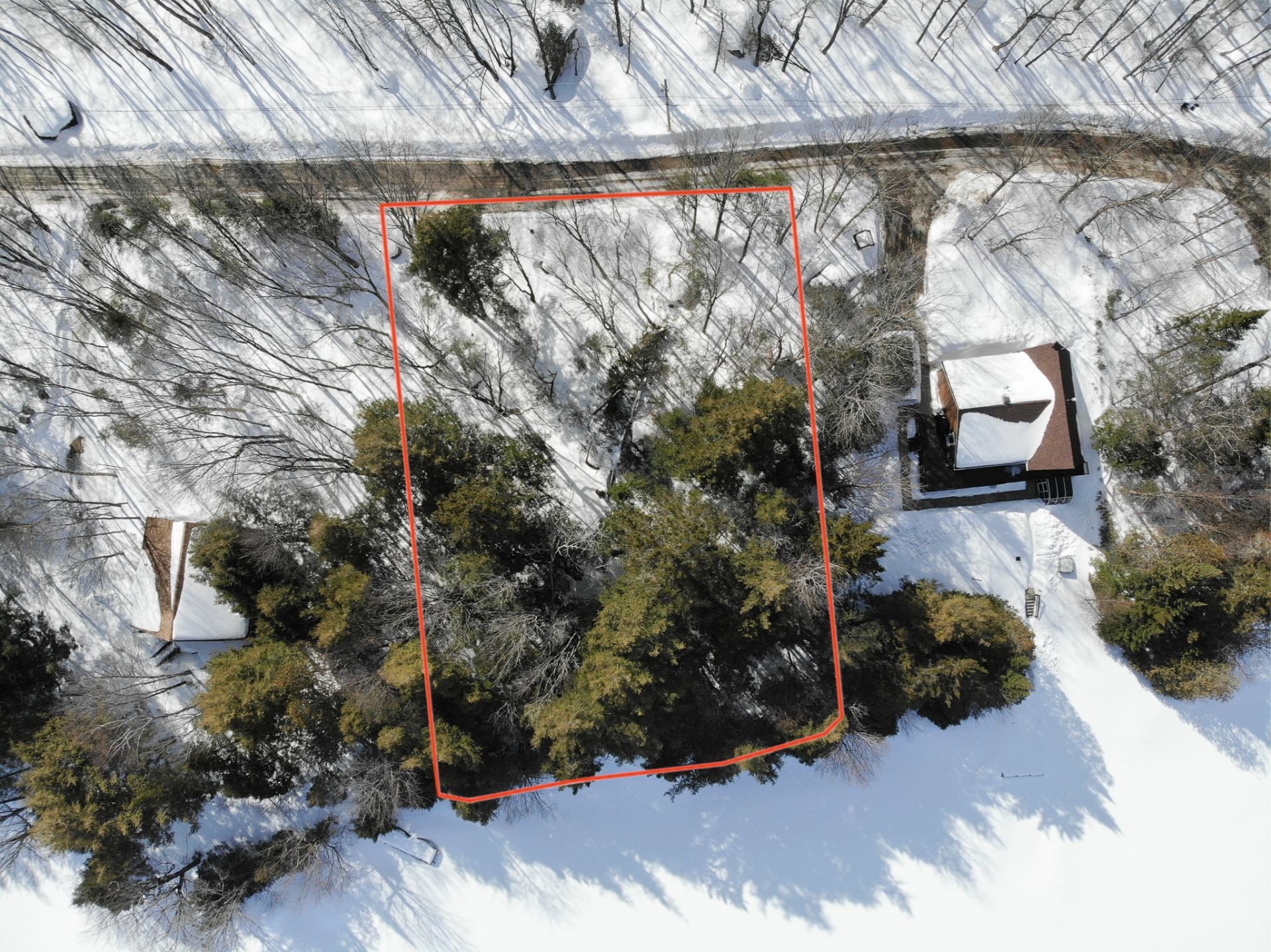 Land in Montcalm 5