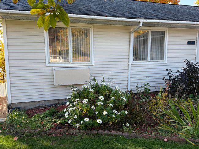Flower garden | Image 8
