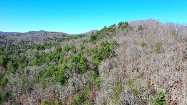 0000 Pine Log Rd, Home with 0 bedrooms, 0 bathrooms and null parking in Warne NC | Image 26