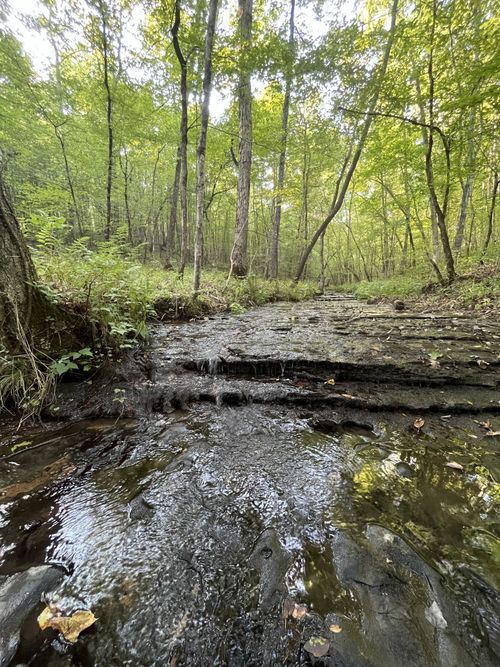 481 Hillbrook Dr, Linden, TN, 37096 | Card Image