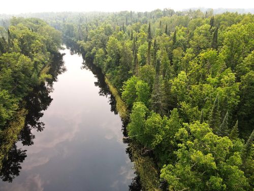 TBD County Road 40, Effie, MN, 56639 | Card Image