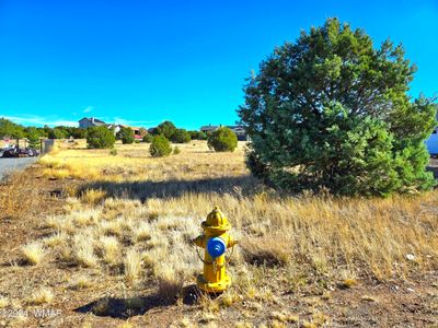 Vacant Land in Show Low Bluff | Image 2