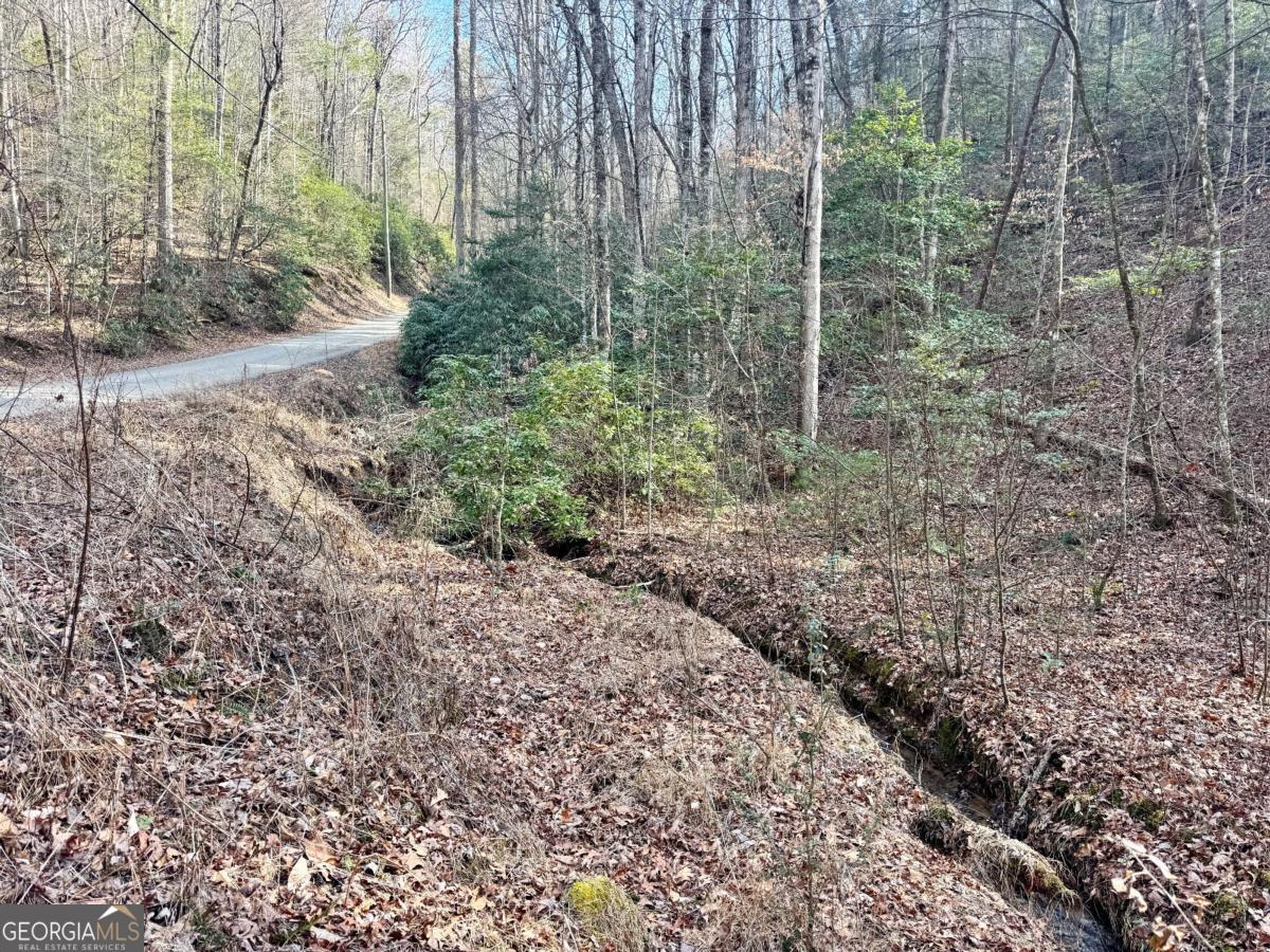 Land in Ellijay 3