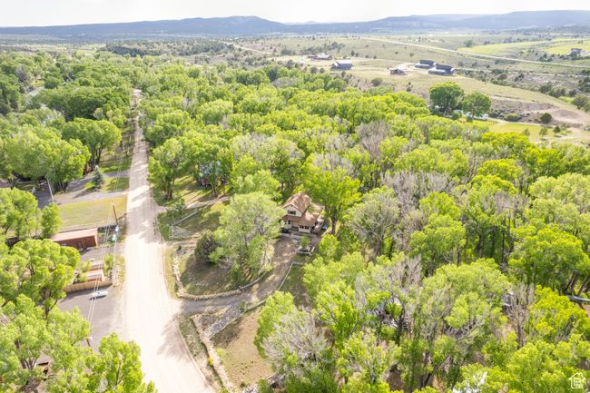 Drone / aerial view of a heavily wooded area | Image 55