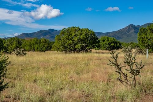 95 Grenfell Ranch, Cerrillos, NM, 87010 | Card Image