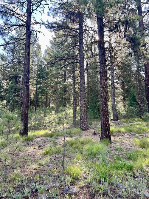 20 Meadow Dr, New Meadows, ID, 83654 | Card Image