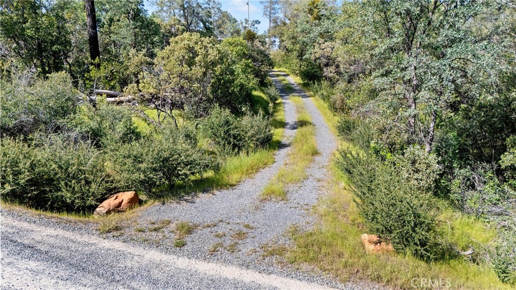 Land in Oroville 3