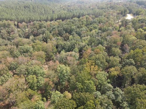 0 Bear Creek Rd, Waverly, TN, 37185 | Card Image