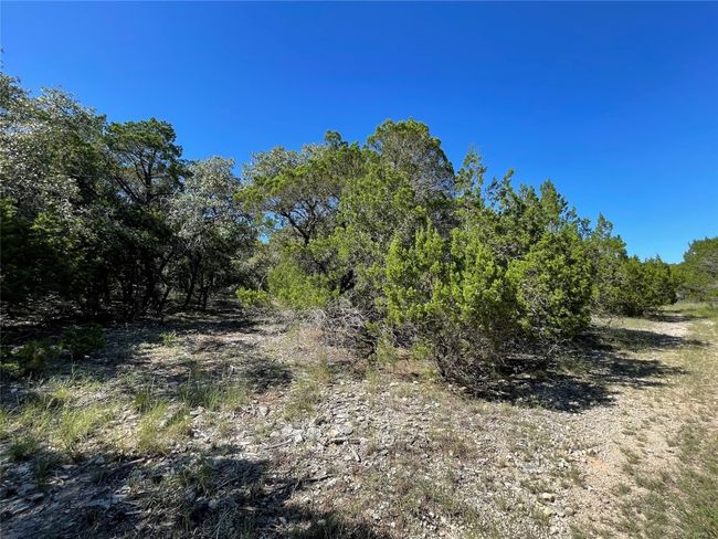 7717 Calcutta Run Dr, Home with 0 bedrooms, 0 bathrooms and null parking in Jonestown TX | Image 7