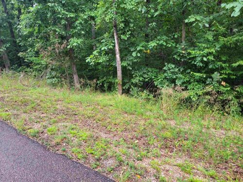0 Yeager Ln, Counce, TN, 38326 | Card Image