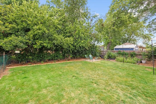 View of large backyard | Image 23