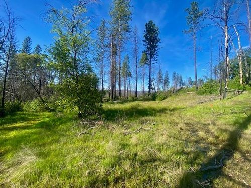 263 Hidden Springs Rd, Berry Creek, CA, 95916-9746 | Card Image