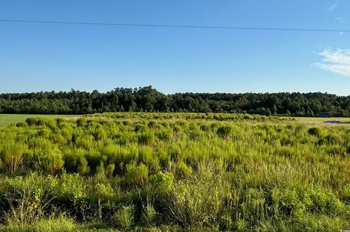 TBD Norton Rd, Green Sea, SC, 29545 | Card Image