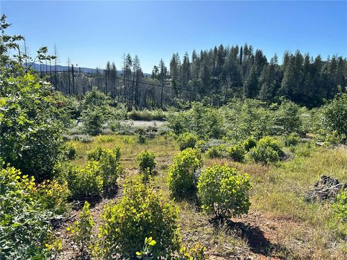 0 Katella Rd, Berry Creek, CA, 95916 | Card Image