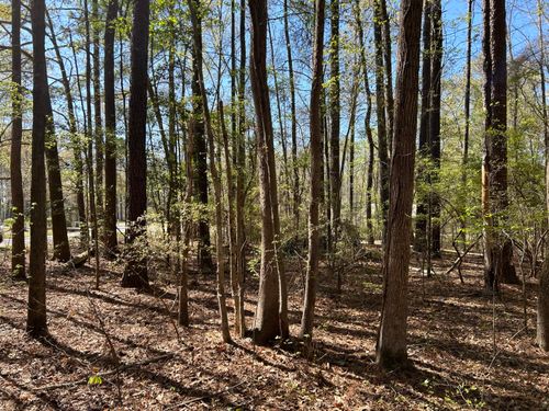 0 Ridge Rd, Cheraw, SC, 29520 | Card Image