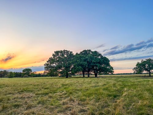 0 County Road 2245, Ivanhoe, TX, 75447 | Card Image