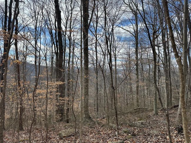 126 Northcutts Cove Rd, Home with 0 bedrooms, 0 bathrooms and null parking in Beersheba Springs TN | Image 17