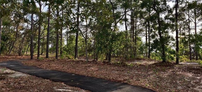 Nature Trail | Image 6