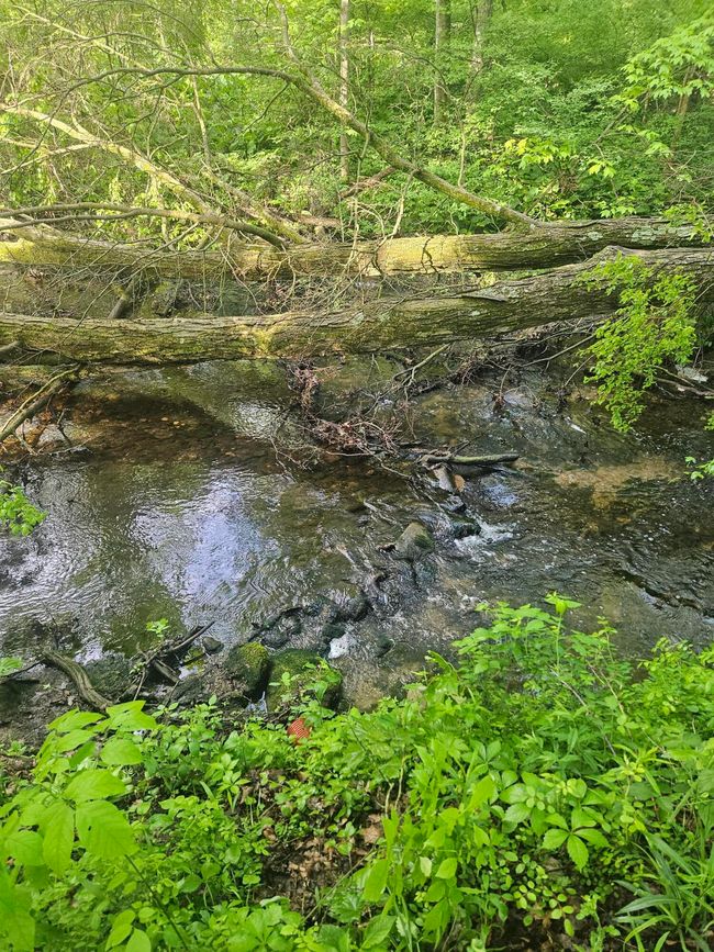 20240513_090900 | Image 11
