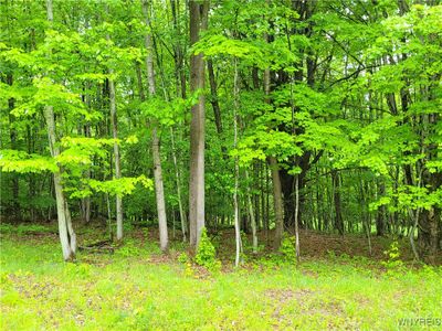 0 Cr 24  Lot 18, Home with 0 bedrooms, 0 bathrooms and null parking in Grove NY | Image 3