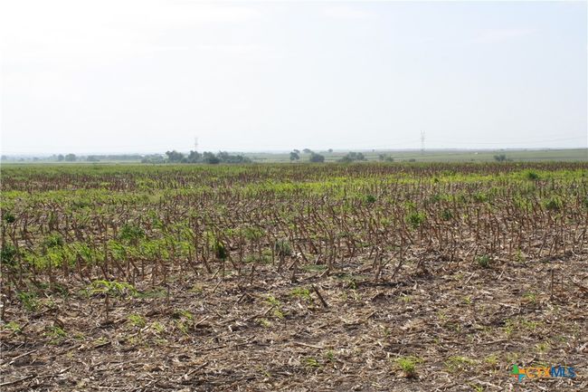 4 - TBD Gooseneck Road, Home with 0 bedrooms, 0 bathrooms and null parking in Bartlett TX | Image 4