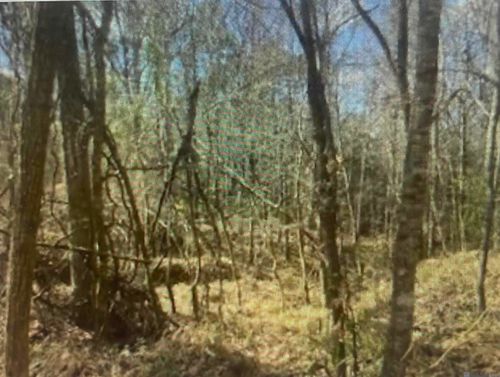 00 Turkey Creek Rd, Natchez, MS, 39120 | Card Image