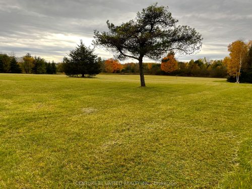 938 County Road, Cramahe, ON, K0K1M0 | Card Image