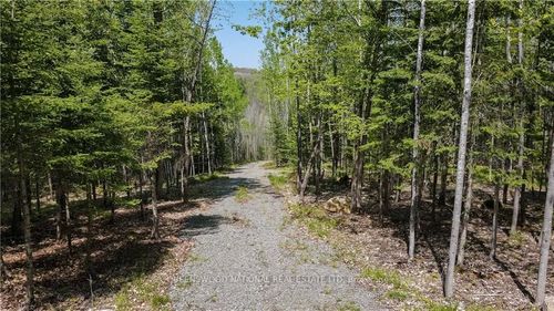 38986A Combermere Rd, Combermere, ON, K0J | Card Image