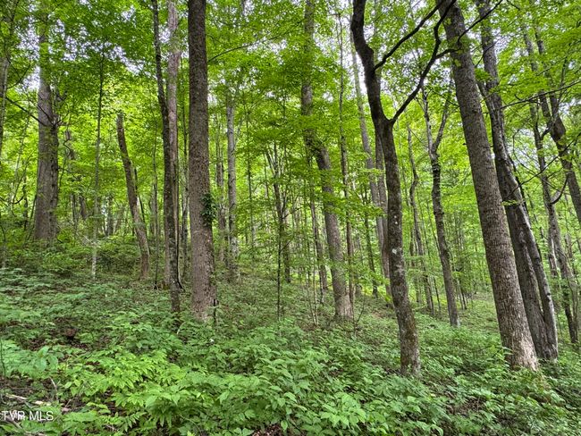 649 Sugar Run Rd, House other with 4 bedrooms, 3 bathrooms and null parking in Jonesville VA | Image 19