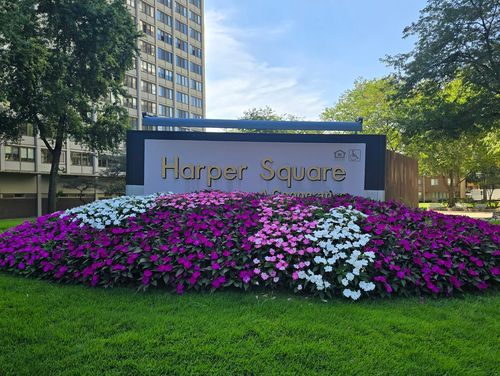 206-4800 S Lake Park Ave, Chicago, IL, 60615-2044 | Card Image