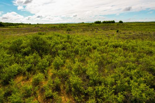 0000 County Rd, Childress, TX, 79201 | Card Image