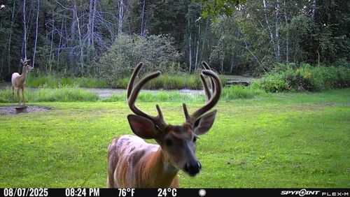 1675 N Woodyard Rd, Shell Lake, WI, 54871-7802 | Card Image