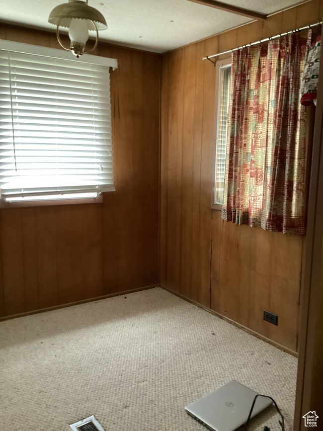 Carpeted spare room with wooden walls and healthy amount of natural light | Image 7