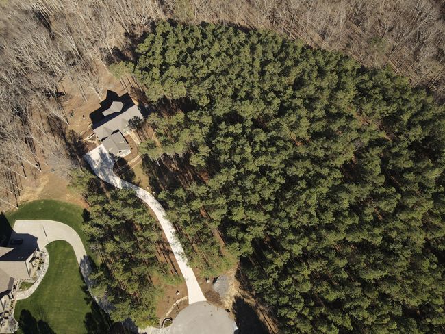 80 High Point Ln, Home with 0 bedrooms, 0 bathrooms and null parking in Jasper TN | Image 141