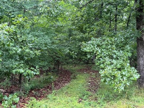 00 Browns Creek Rd, Ravenden, AR, 72459 | Card Image