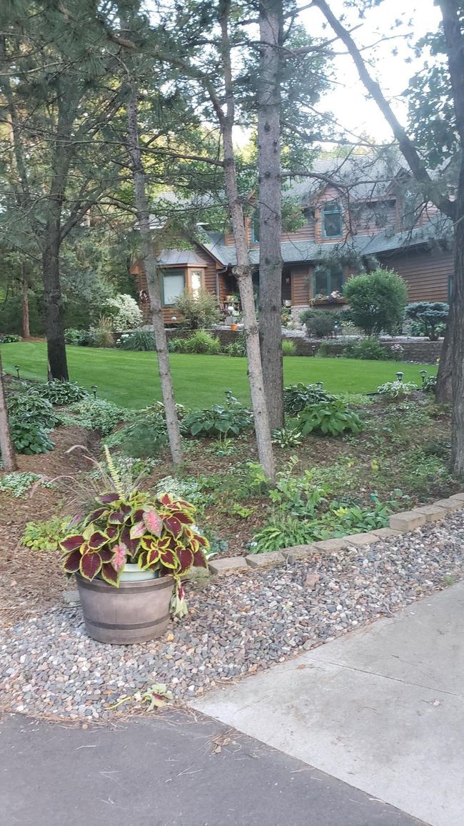 Summer Plants | Image 54