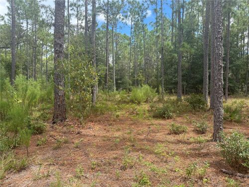 7651 Ne 111th Ln, Bronson, FL, 32621-3452 | Card Image