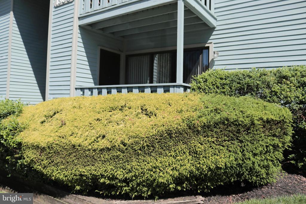 Residential Lease in MARLTON 3