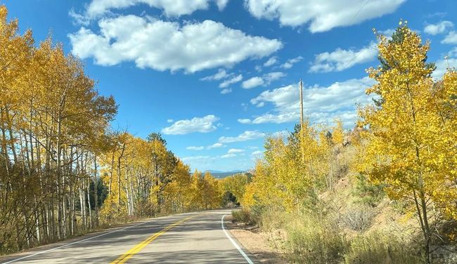 214/222 E Golden Circle, Home with 0 bedrooms, 0 bathrooms and null parking in Cripple Creek CO | Image 25