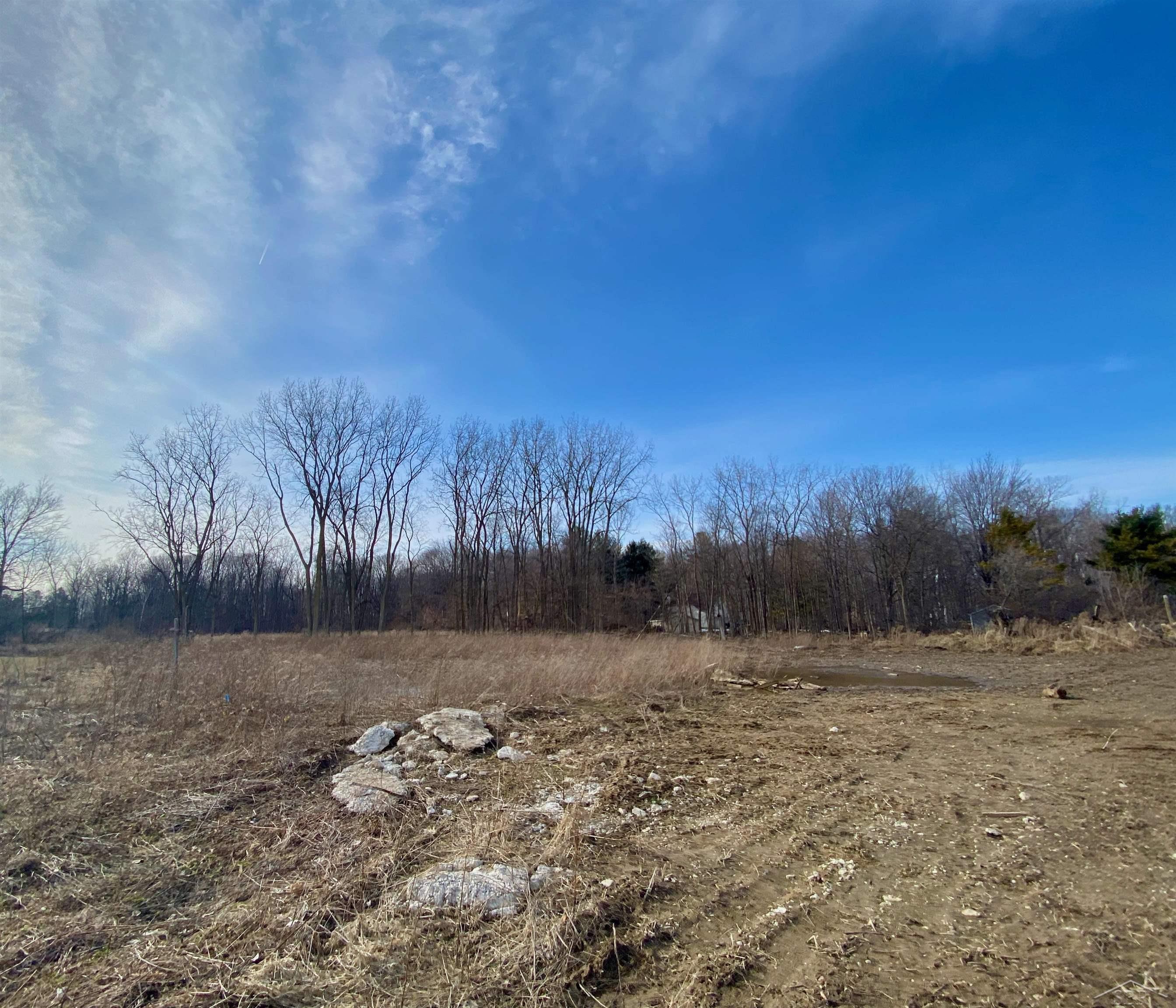 Land in Tittabawassee Township 3