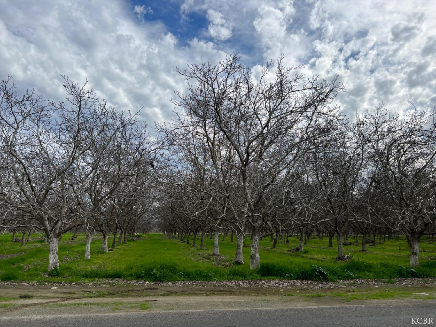 Land in Lemoore