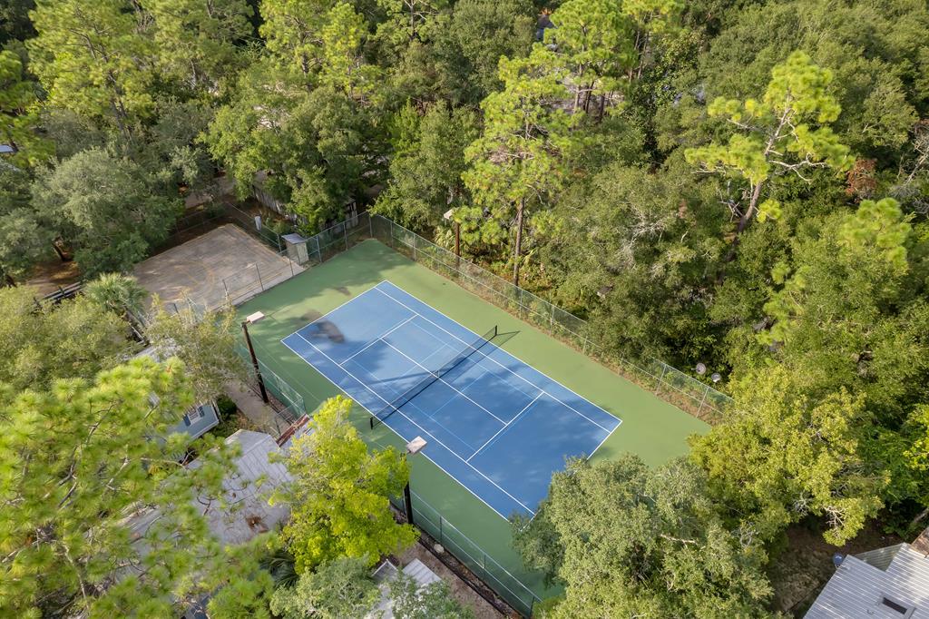 Residential in Steinhatchee 5