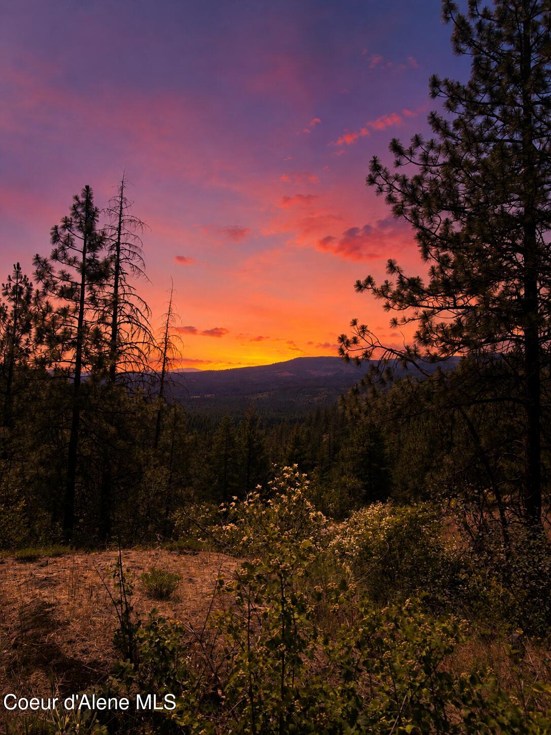 Land in Priest River 2