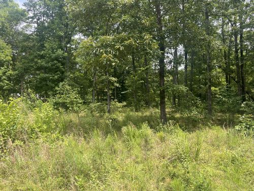 2 Lakeview Dr, Linden, TN, 37096 | Card Image