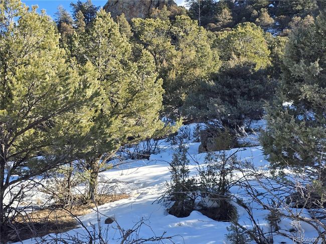 824 Shoshone Dr, Home with 0 bedrooms, 0 bathrooms and null parking in Canon City CO | Image 9