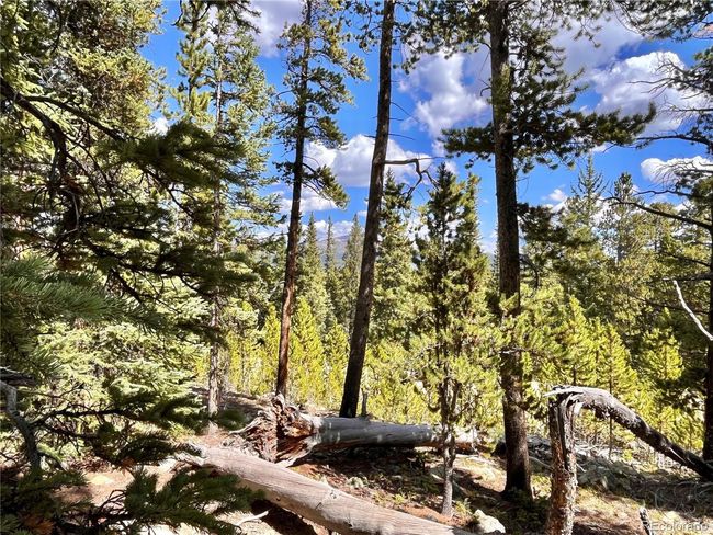 676 Dry Gulch Rd, Home with 0 bedrooms, 0 bathrooms and null parking in Fairplay CO | Image 9