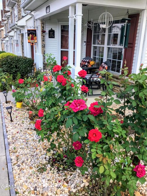 527 Orchard Valley Way, Sevierville, TN, 37862-5437 | Card Image