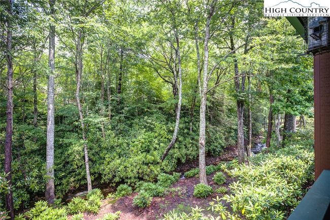 101 - 101 Clary Ct, Townhouse with 3 bedrooms, 3 bathrooms and null parking in Blowing Rock NC | Image 27